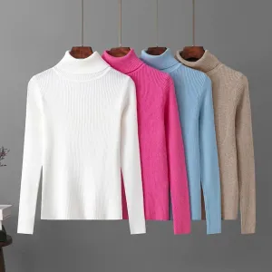 Skinny Elastic Basic Turtleneck Knit  Warm Soft Pullovers Full